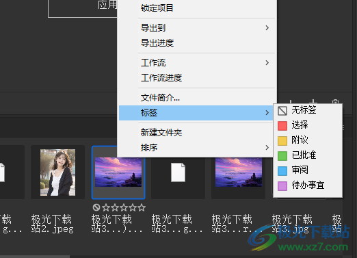 adobe bridge 2022中文版