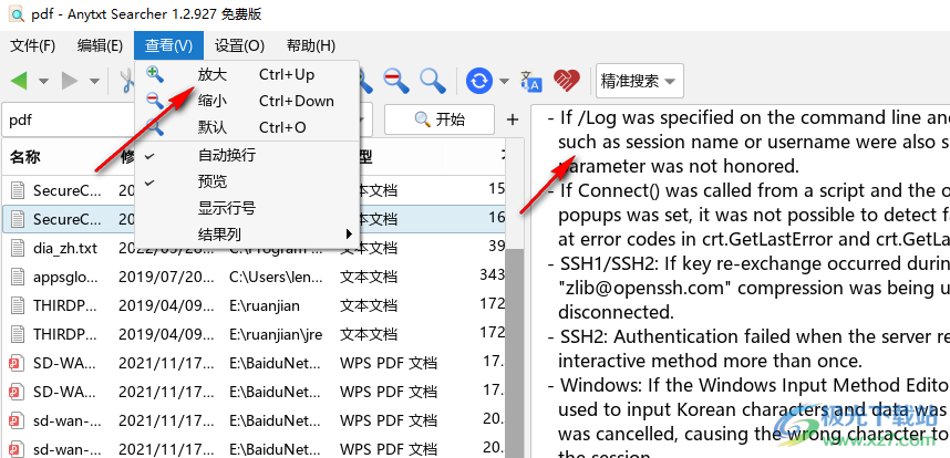 AnyTXT Searcher软件中文版