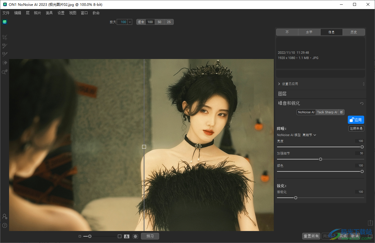 ON1 NoNoise AI2023(摄影照片降噪软件)
