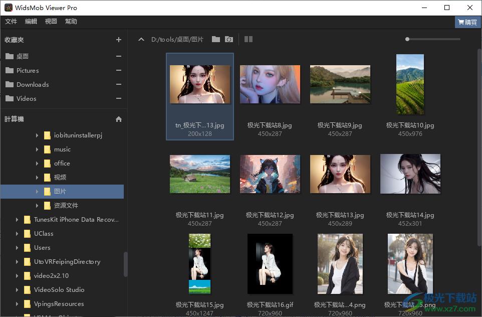 WidsMob Viewer Pro(图像查看器)