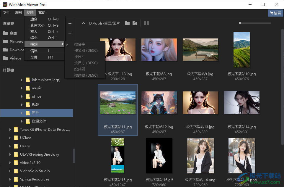 WidsMob Viewer Pro(图像查看器)