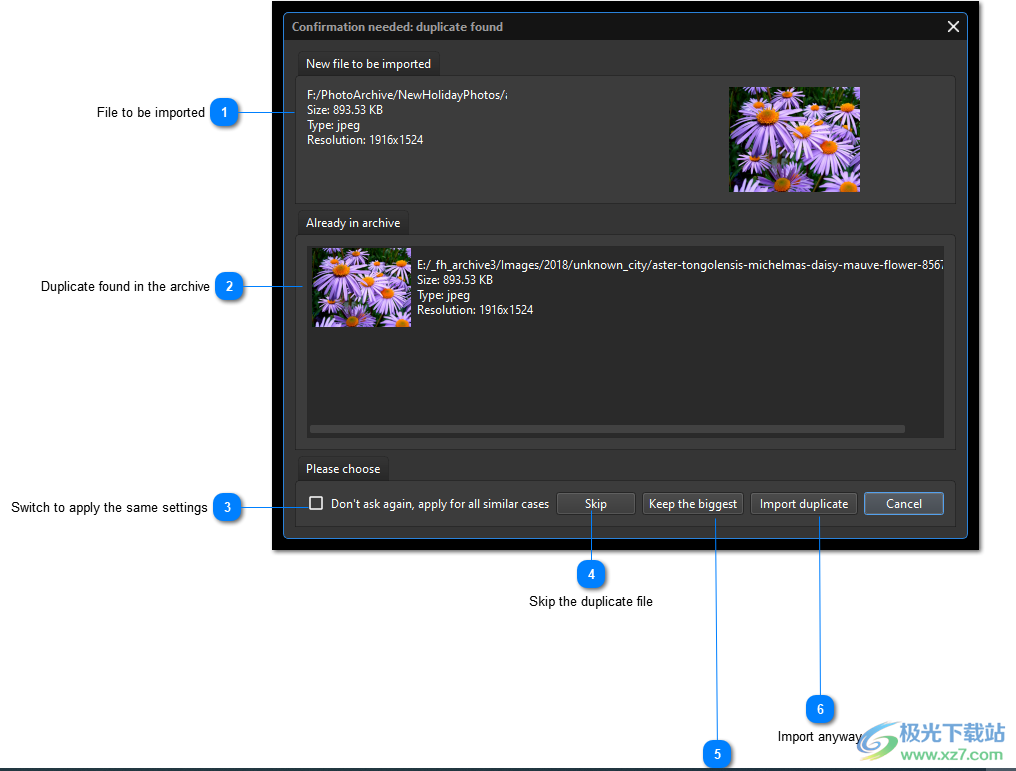 imageranger pro edition破解版(图像管理软件)