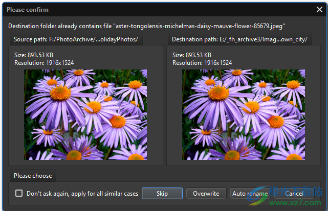 imageranger pro edition破解版(图像管理软件)