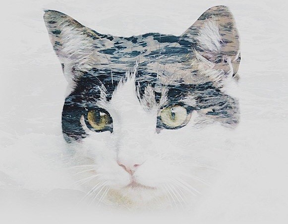 double exposure电脑版下载-double exposure photoshop action免费版官方版