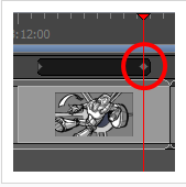 Toon Boom Storyboard Pro 7中文版