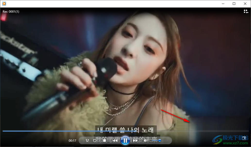 AnyErase Pro(视频水印工具)