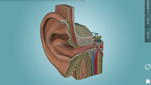 人体解剖学图集电脑版下载-人体解剖学图集pc端v3.9.9 最新版