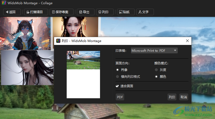 WidsMob Montage(蒙太奇)