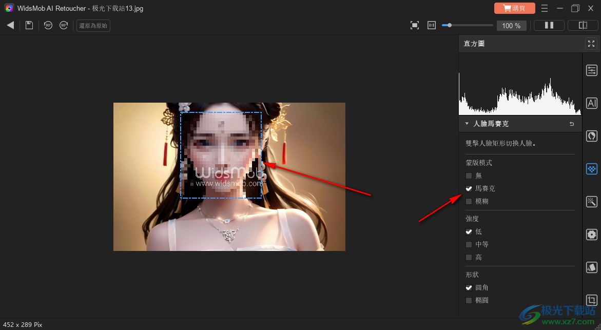 WidsMob AI Retoucher(图片美化工具)