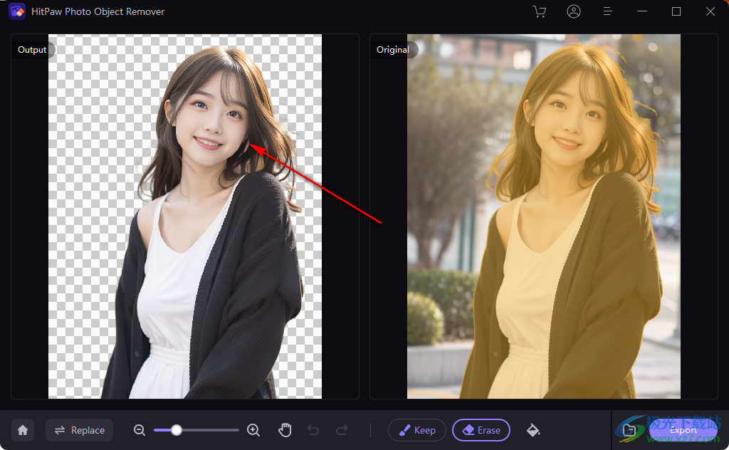 HitPaw Photo Object Remover(照片处理软件)