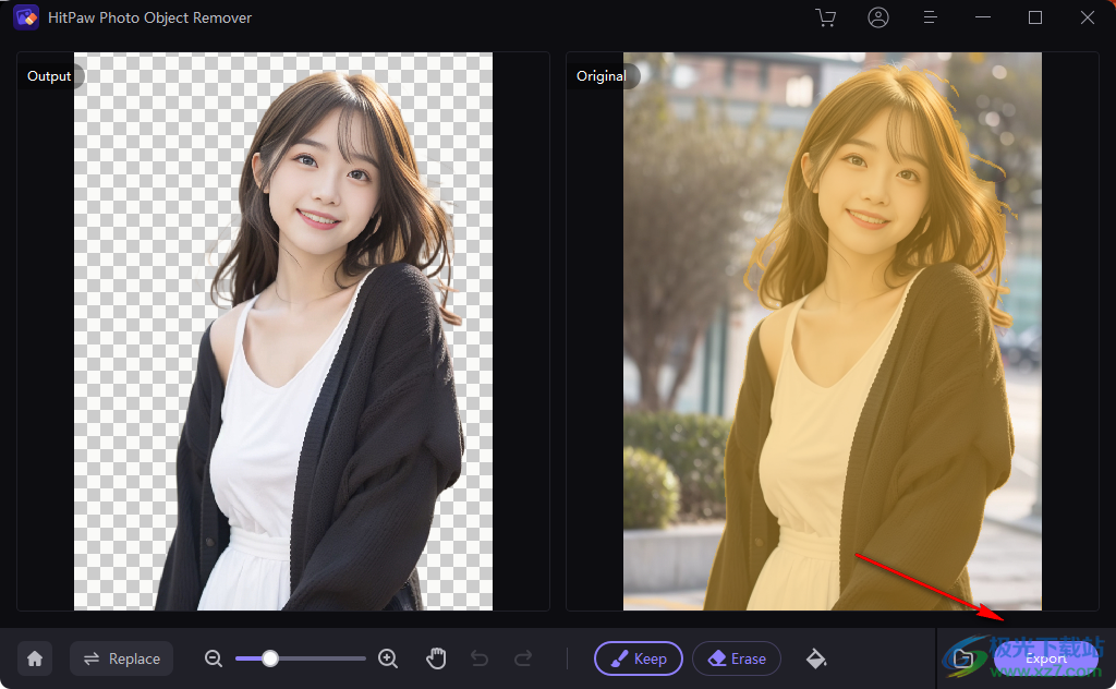 HitPaw Photo Object Remover(照片处理软件)