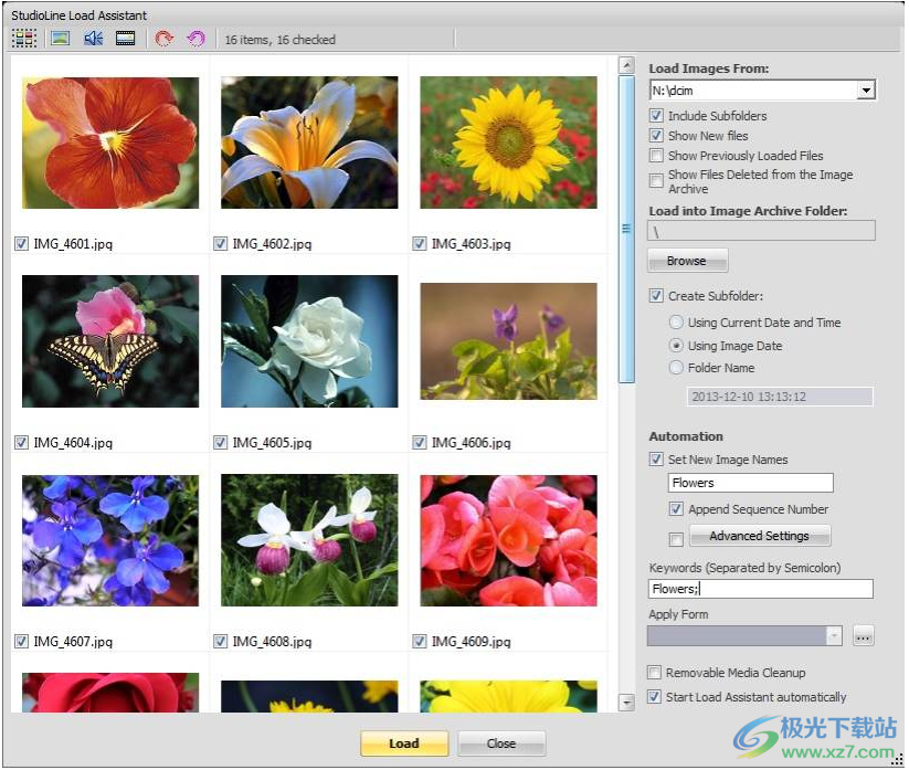 StudioLine Web Designer(web网页设计)