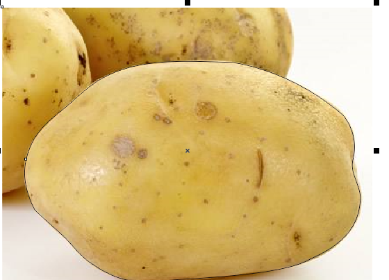 coreldraw x3精简版