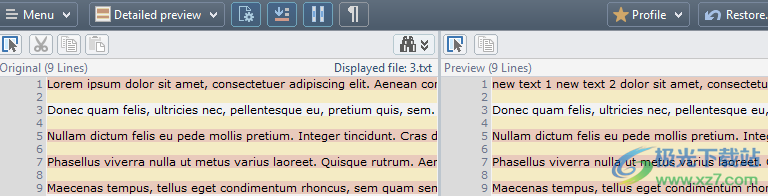 Gillmeister Batch Text Replacer(批量文本替换工具)