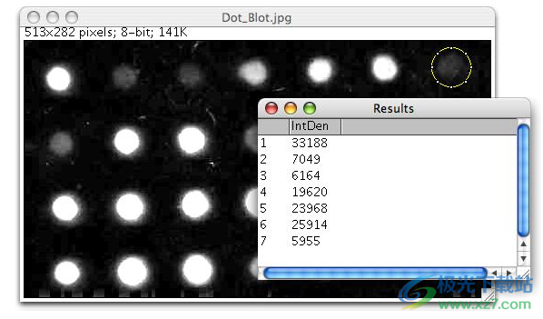 ImageJ(图像分析软件)