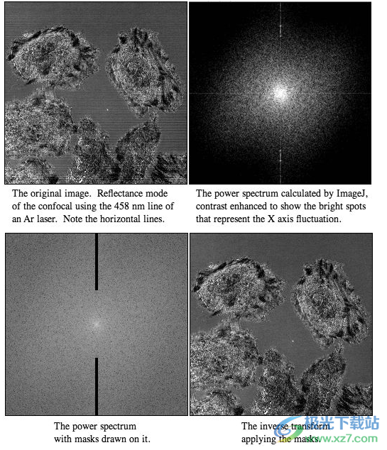ImageJ(图像分析软件)