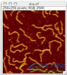 ImageJ(图像分析软件)