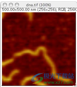 ImageJ(图像分析软件)