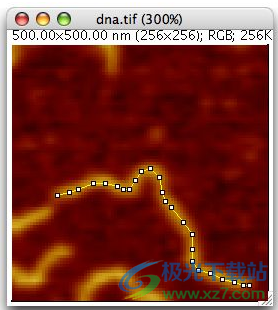 ImageJ(图像分析软件)