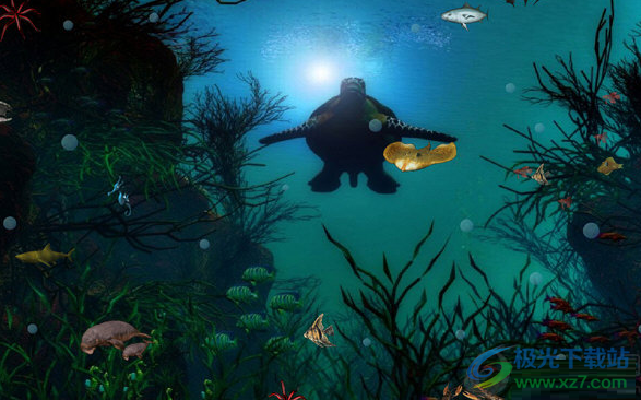 水族海龟电脑屏保