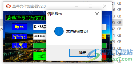 草莓文件加密器