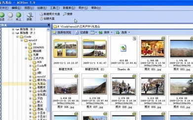 acdsee6.0电脑软件