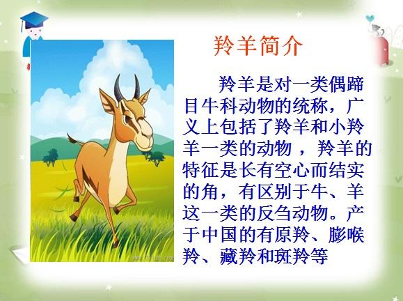 羚羊木雕课件免费