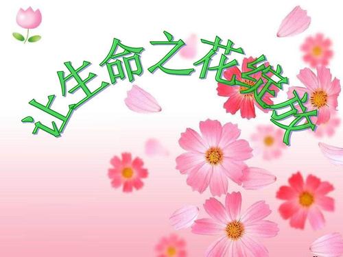 让生命之花绽放ppt课件