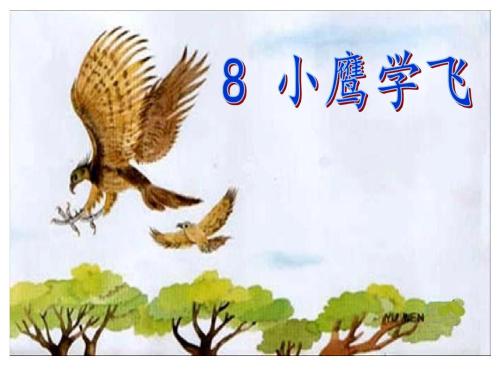 小鹰学飞ppt课件下载-小鹰学飞教案人教版