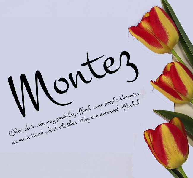 montez英文字体ttf版