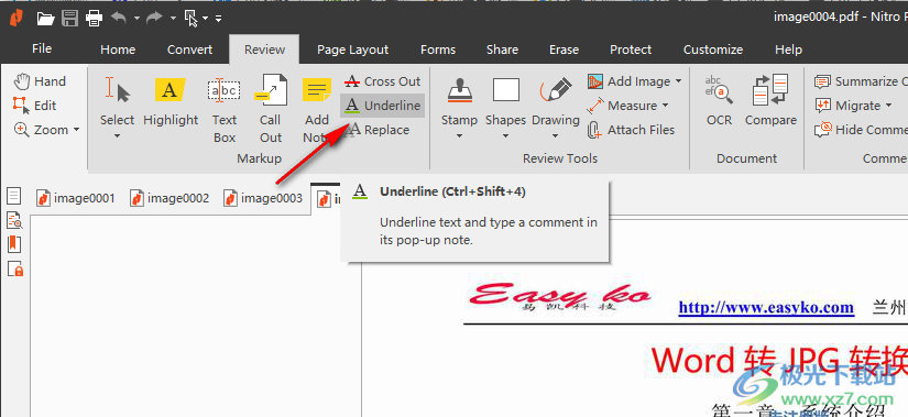 Nitro Pro Enterprise(PDF编辑器)