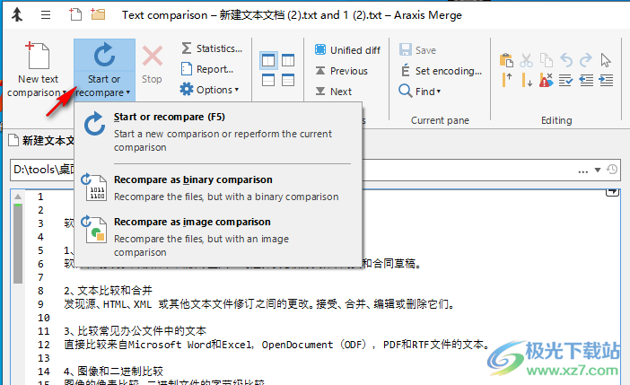 araxis merge pro (文件比较)2022破解版