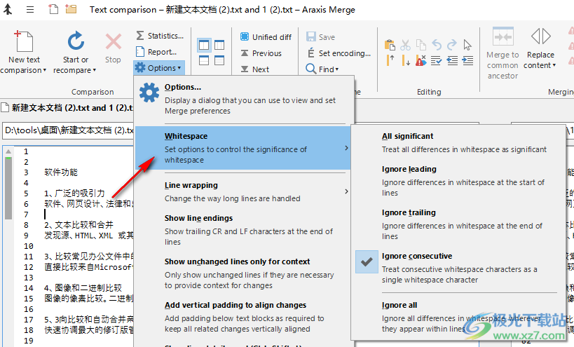 araxis merge pro (文件比较)2022破解版