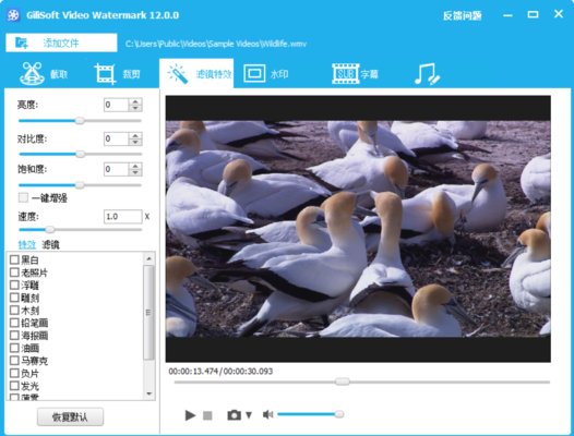 gilisoft video editor最新版本