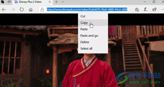 Free Disney Plus Download(迪士尼视频下载器)