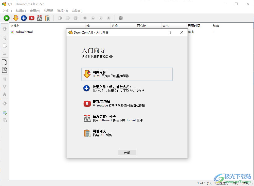 DownZemAll!(视频文件下载工具)