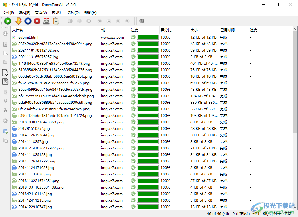 DownZemAll!(视频文件下载工具)