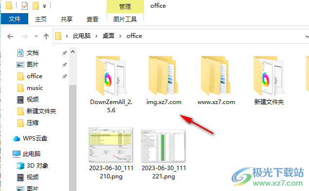 DownZemAll!(视频文件下载工具)