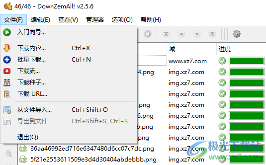 DownZemAll!(视频文件下载工具)