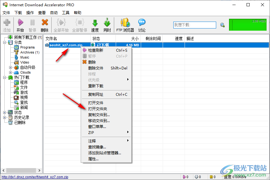 Internet Download Accelerator PRO中文注册版