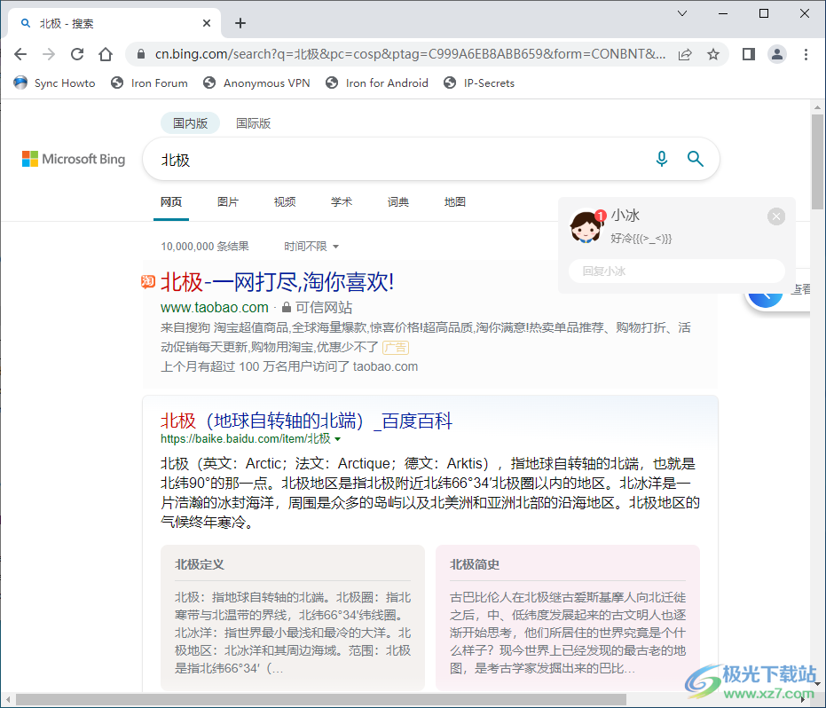 srware iron 浏览器(钢铁极速浏览器)