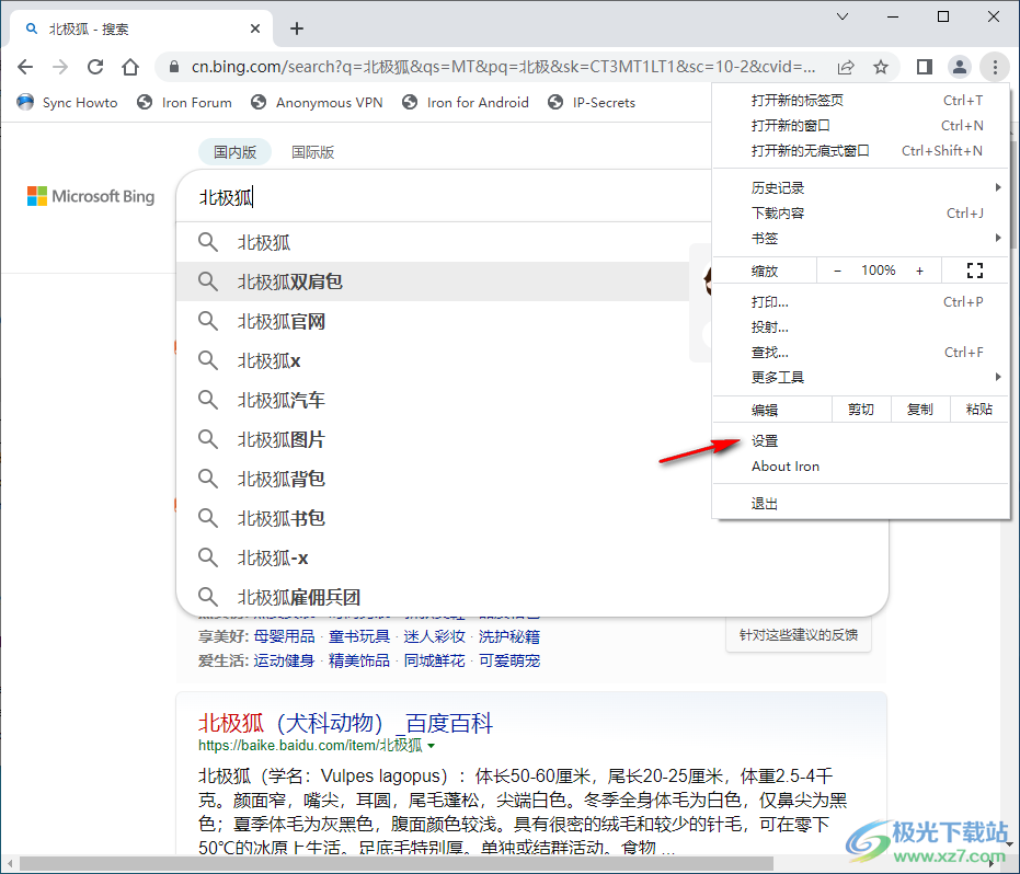 srware iron 浏览器(钢铁极速浏览器)