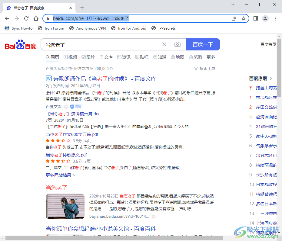 srware iron 浏览器(钢铁极速浏览器)