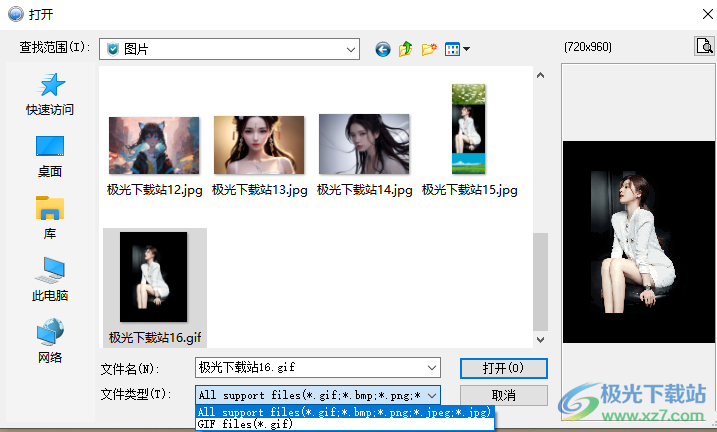 ThunderSoft GIF to AVI Converter(GIF转换AVI软件)