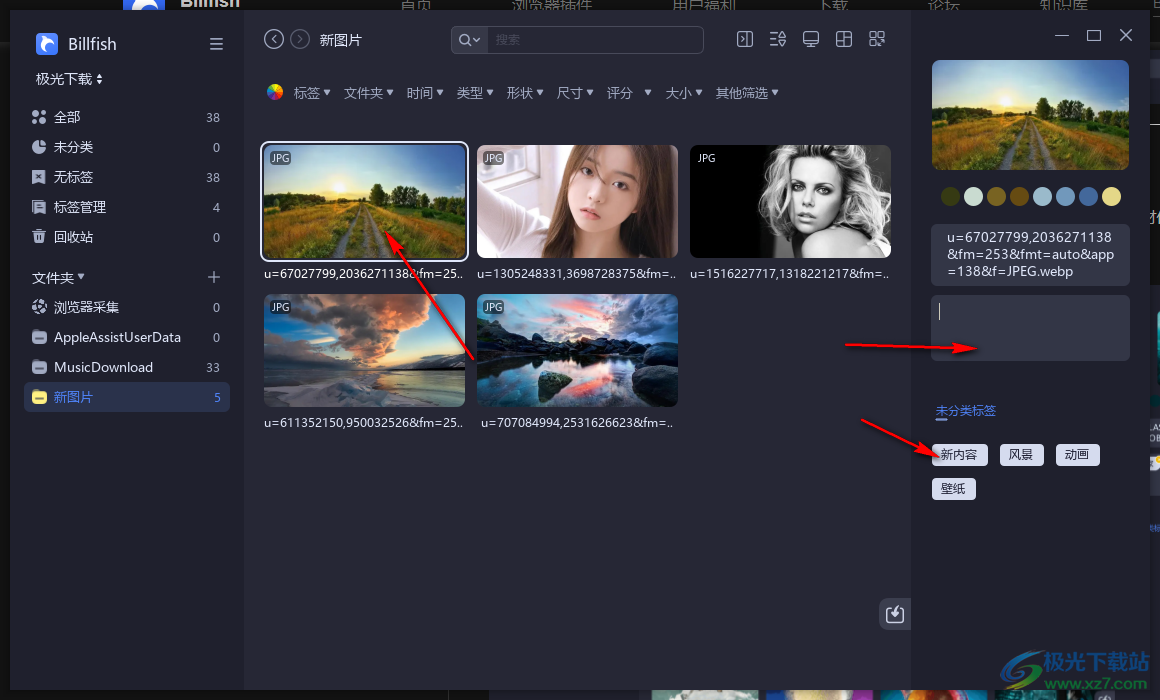 billfish素材管理工具