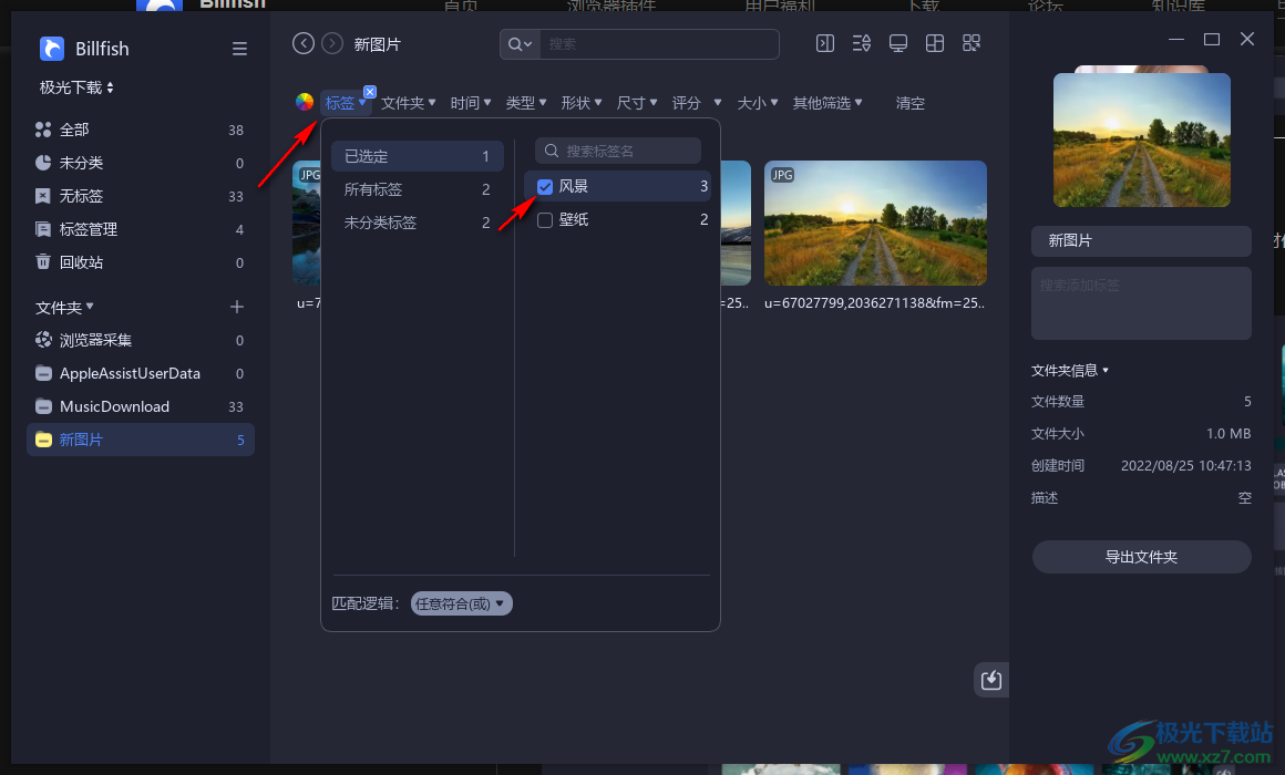 billfish素材管理工具
