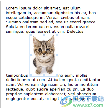 Atlantis Word Processor(专业文字处理工具)