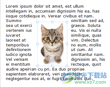 Atlantis Word Processor(专业文字处理工具)