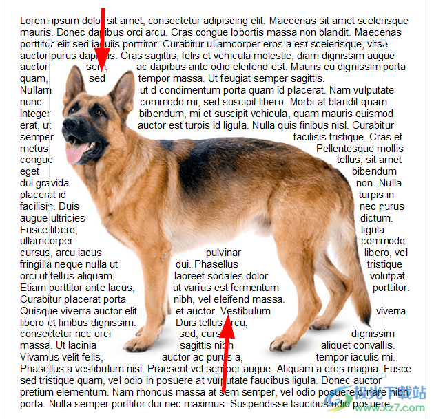 Atlantis Word Processor(专业文字处理工具)