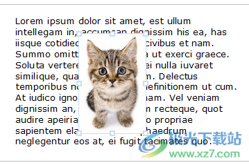 Atlantis Word Processor(专业文字处理工具)